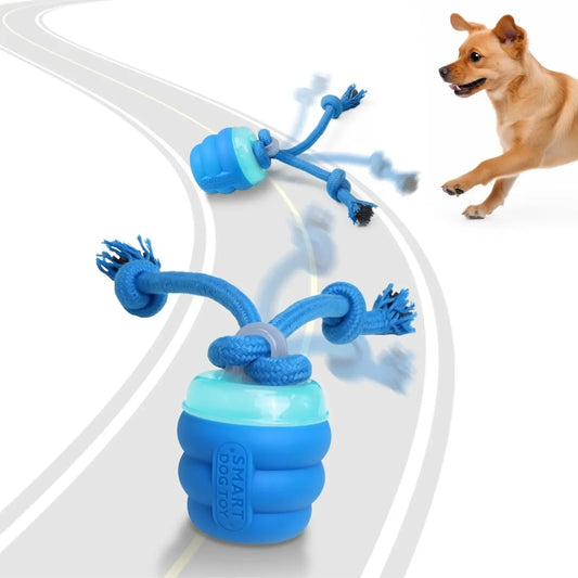 EasyPaw Interactive Dog Toy